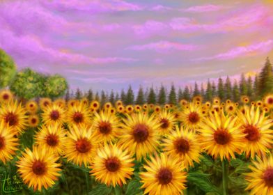 Sunflower Field