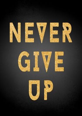 Never Give Up