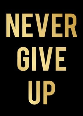 Never Give Up