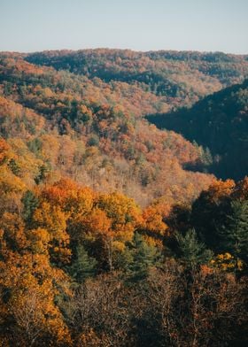 Fall Colors in Appalachia