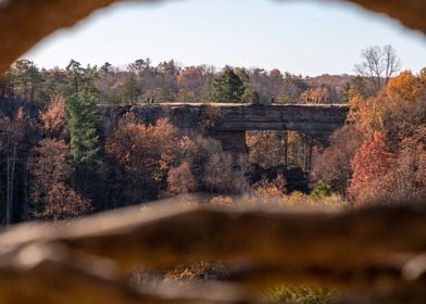 Autumn in Appalachia