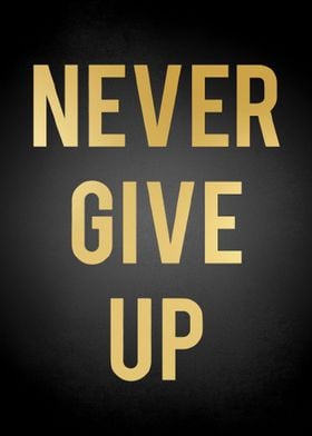 Never Give Up