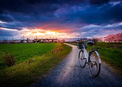 Sunset in the Countryside