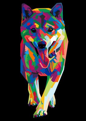 colorful shiba inu dog