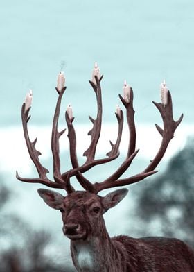 Candle Deer