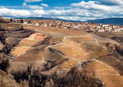 Trento Italy Wine