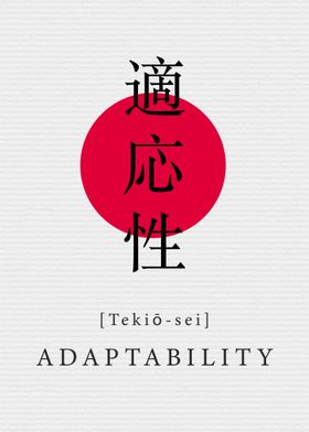 Adaptability Life Value