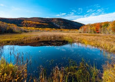 Acadia Cliff and Lake