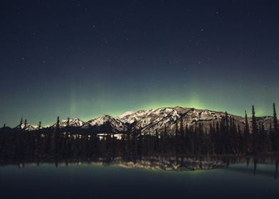 The Northern Light 