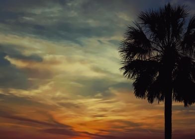 Florida Sunset