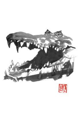 crocodile