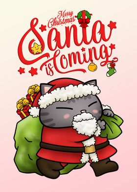 Christmas Santa Cat