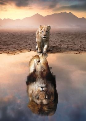 Lion Reflection