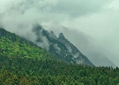 Romania misty mountains