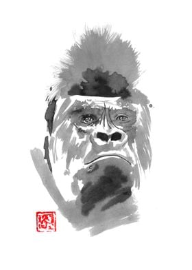 gorilla