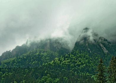 Romania Foggy mountains