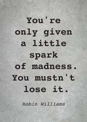 Robin Williams Quote L004