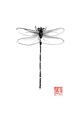 dragonfly