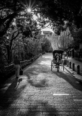 Kyoto Afternoon