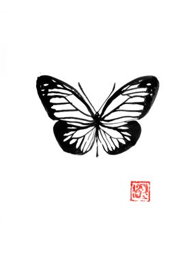 butterfly