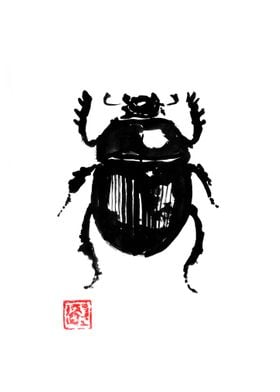 beetle