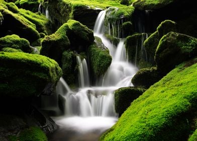 Waterfall Forest Moss Rock