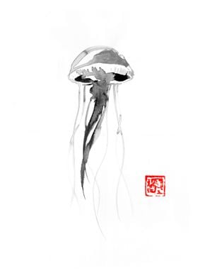 jellyfish