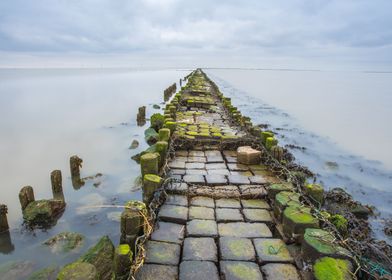 Lake Bridge Moss