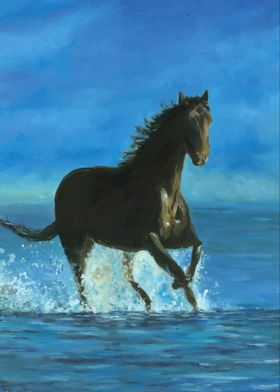 Horse water and blue sky