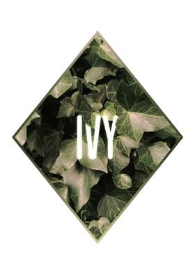 GEOMETRIC IVY