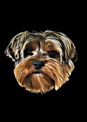 Yorkshire terrier face