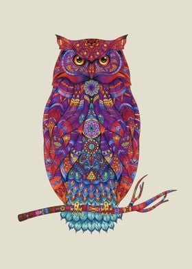 Owl