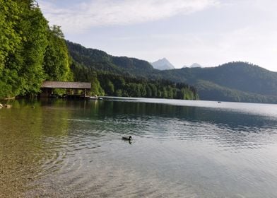 Alpsee Germany