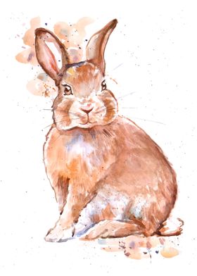 Watercolor brown bunny