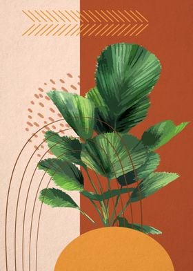 Modern bohemian plant4