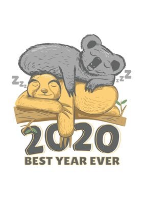 Funny koala Sloth Lazy