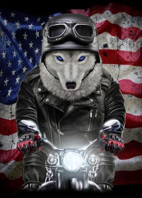 Wolf on Motorcycle USA