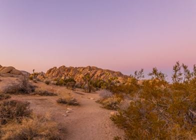 California Sunset