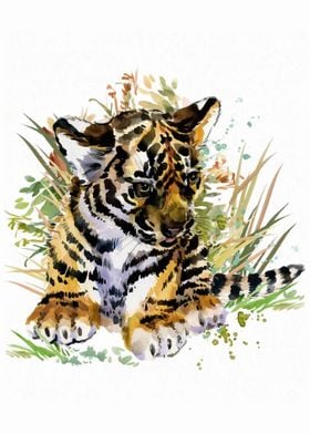 Tiger Cub Animal