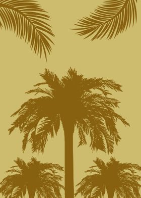 palm