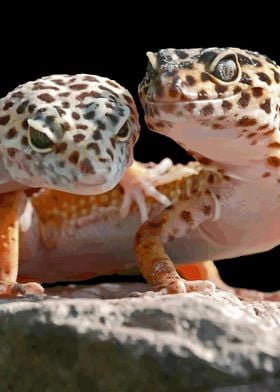 The common leopard gecko 