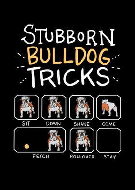 Funny Bulldog Tricks