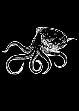 Octopus  underwater black