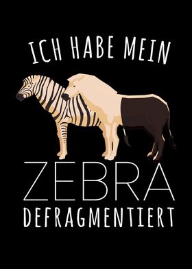 I Defragged My Zebra