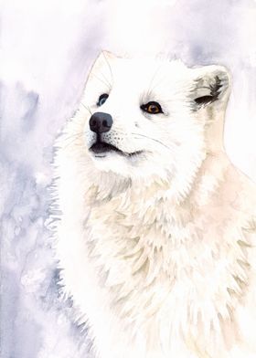 Arctic Fox Watercolor