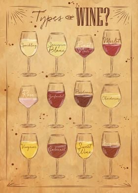 Types of wine 