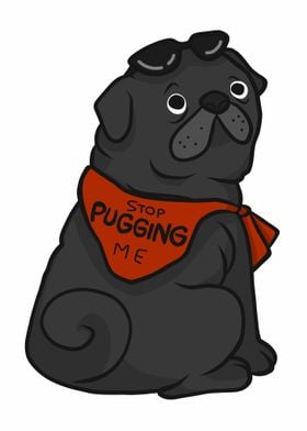 Stop pugging me Pug dog