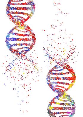 DNA molecule 