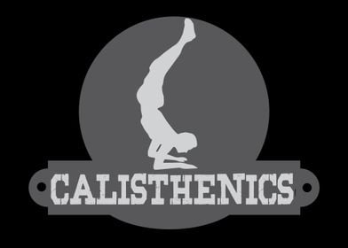 Calisthenics  Physical Ex