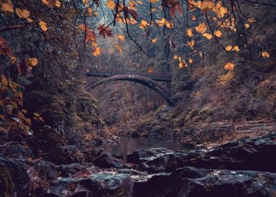 Fairytale forest bridge